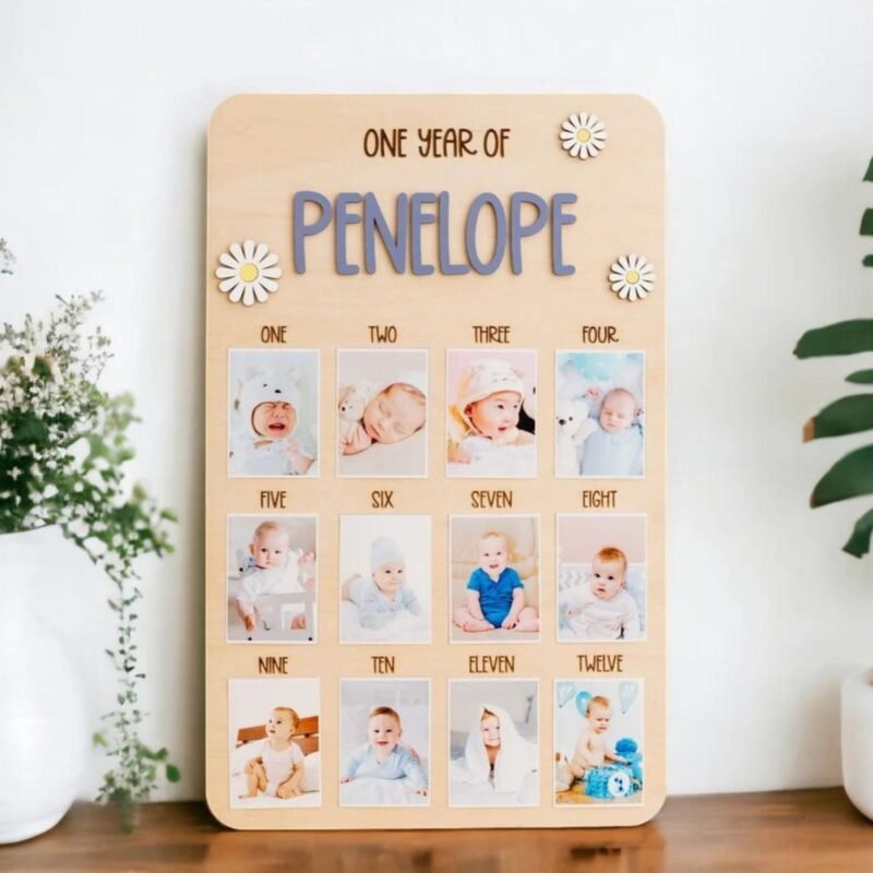 Baby Monthly Photo Board